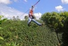 Canopy Tour at Bosque del Saman